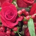 roses by caitnessa