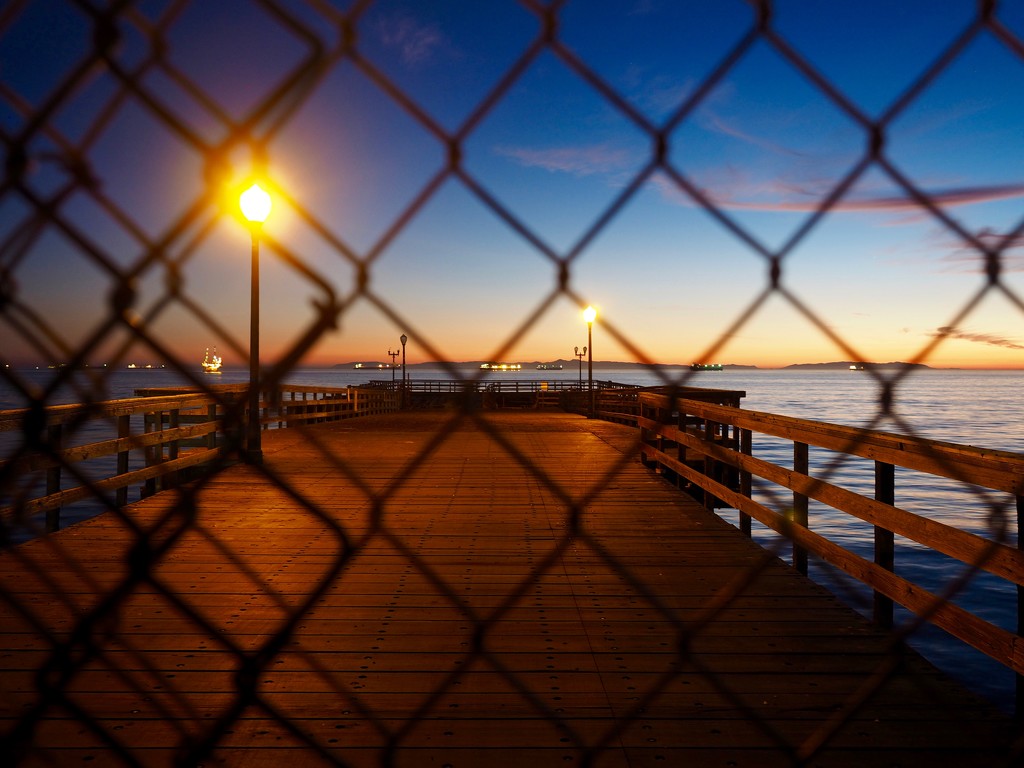 Fenced In by redy4et