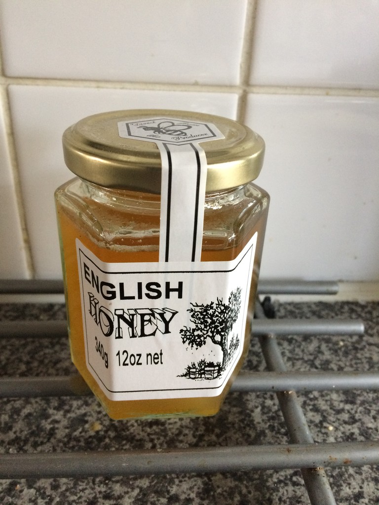 Berkshire Honey  by elainepenney