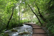 26th Nov 2020 - 57 Plitvice Lakes National Park, Croatia