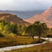 Highlands by shepherdmanswife