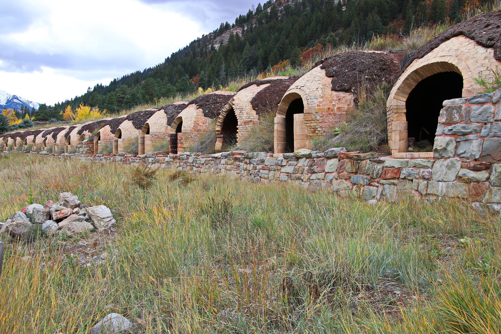Redstone Coke Ovens by terryliv