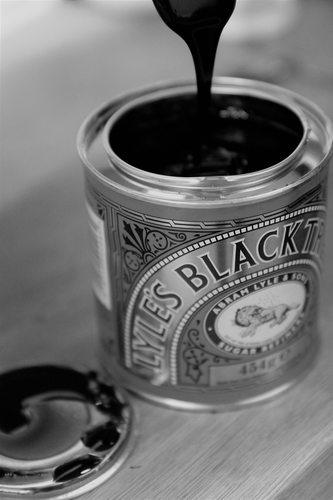Black Treacle by cookingkaren