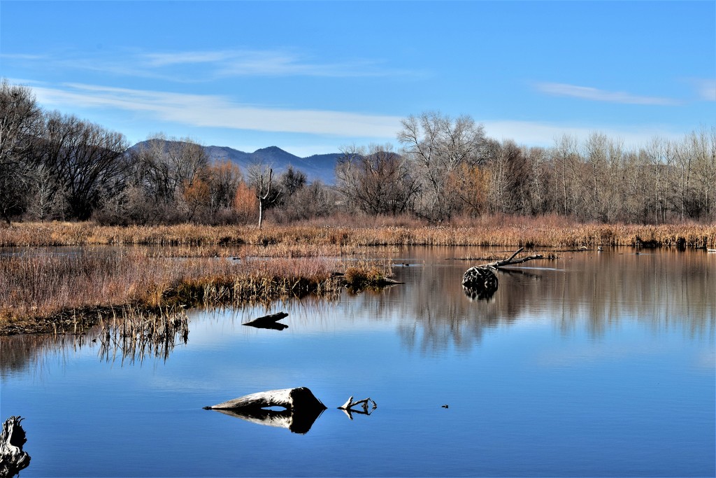 N Shields Pond and foothills by sandlily