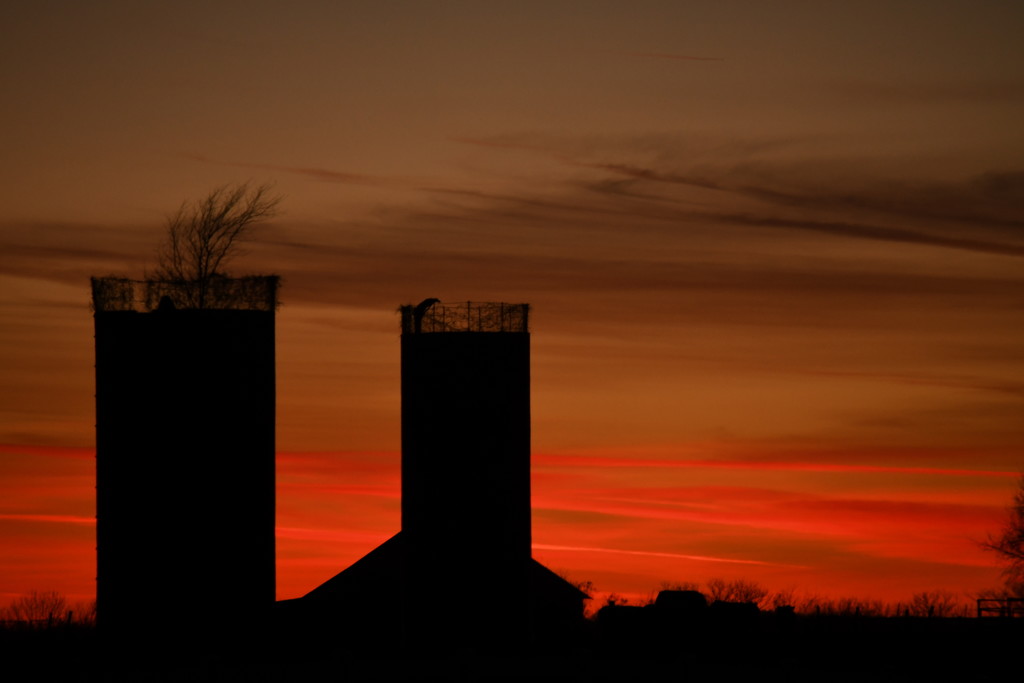 Two Silos at Dusk by kareenking