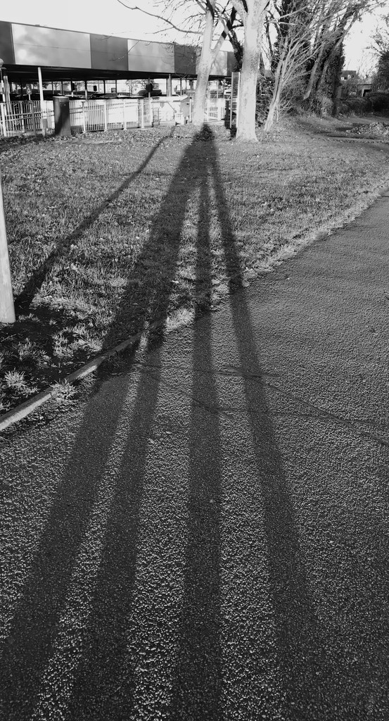 Long shadows by anne2013