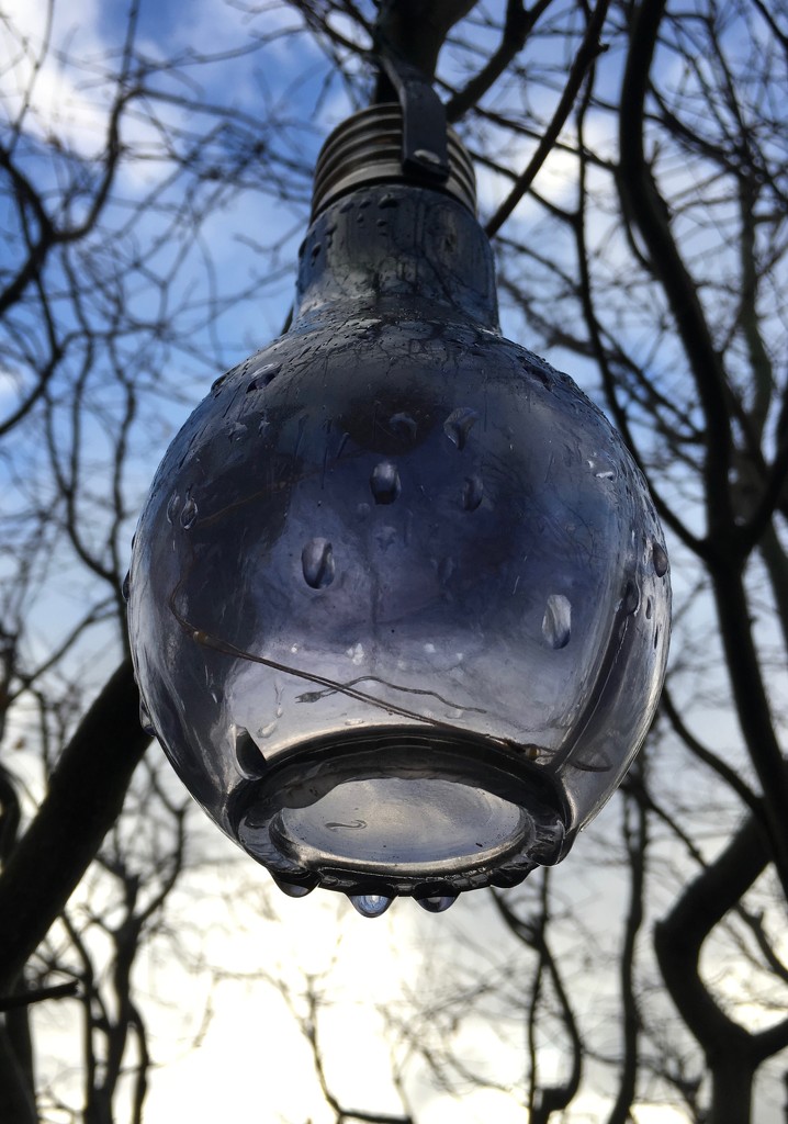 Light bulb in the rain by 365projectmaxine