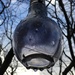 Light bulb in the rain by 365projectmaxine