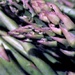 Asparagus by granagringa