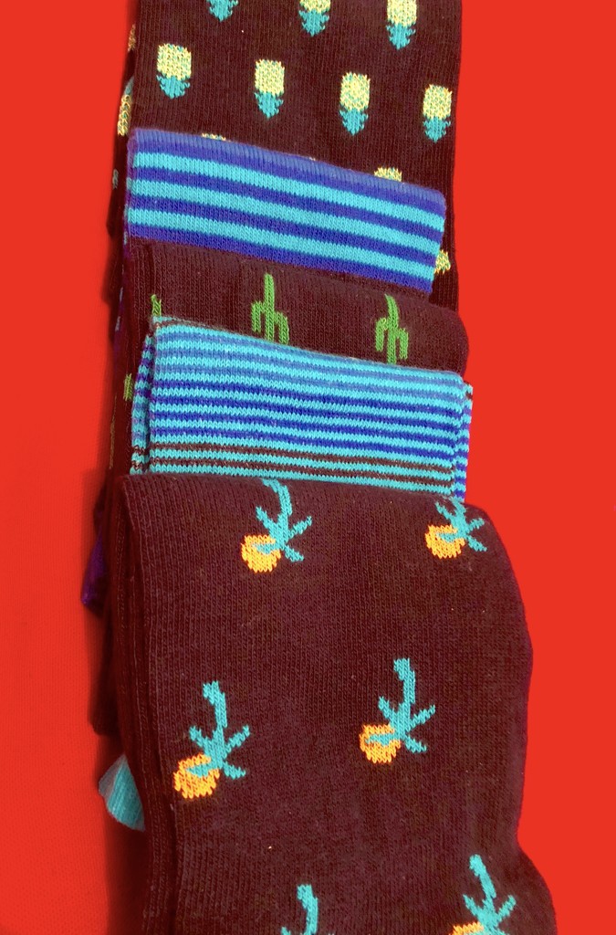 socks by 365projectdrewpdavies