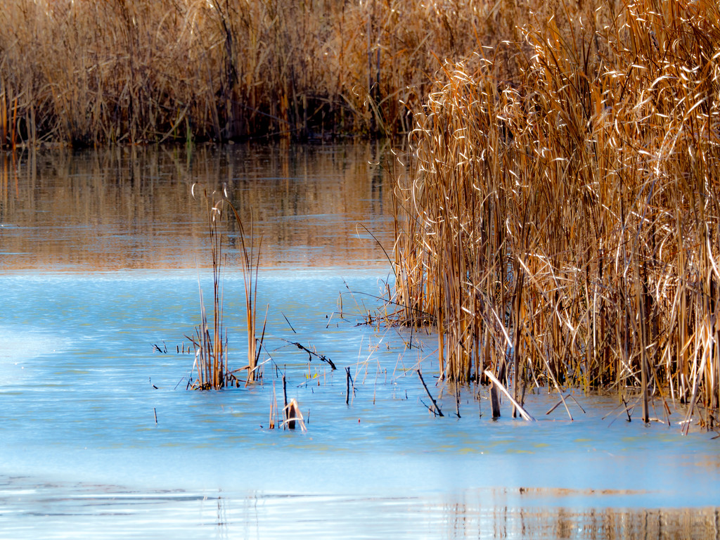Prairie Pond by rminer