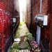 flowers make even the dingiest alley look quaint. by blueberry1222