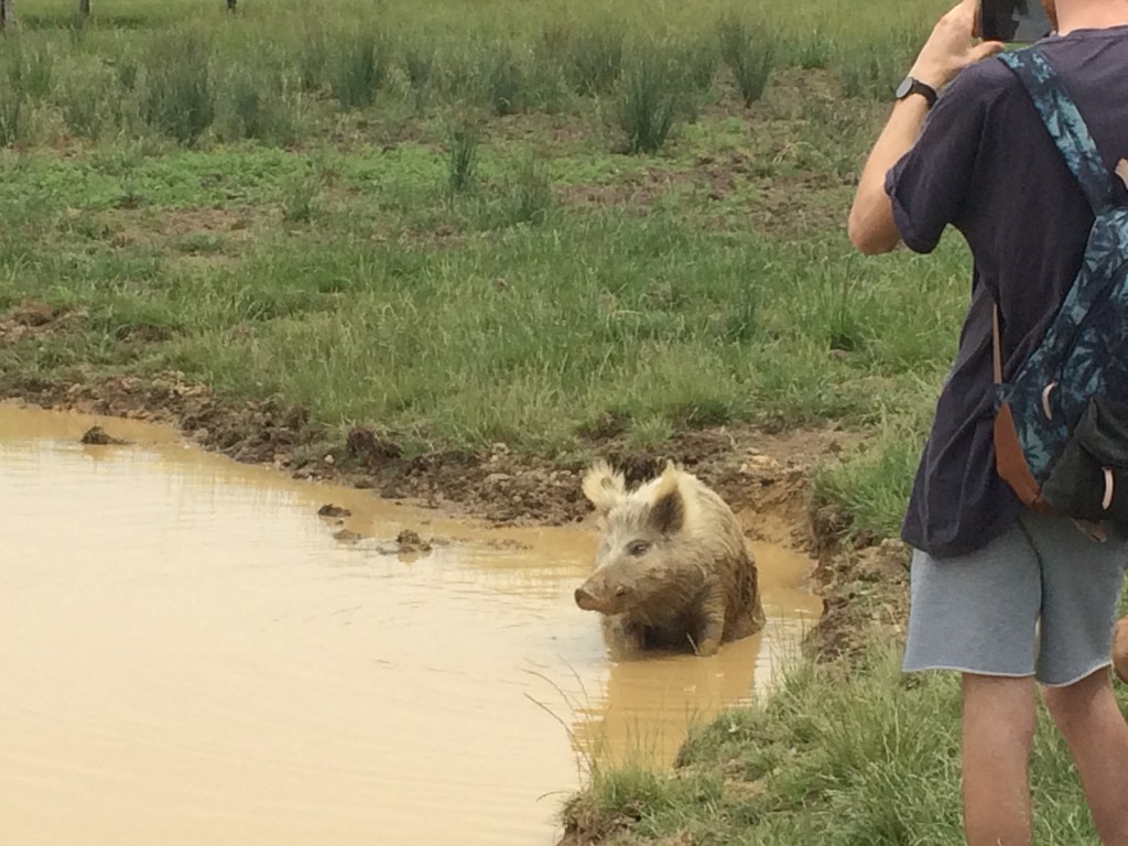 Bathtime for Hamish by alia_801