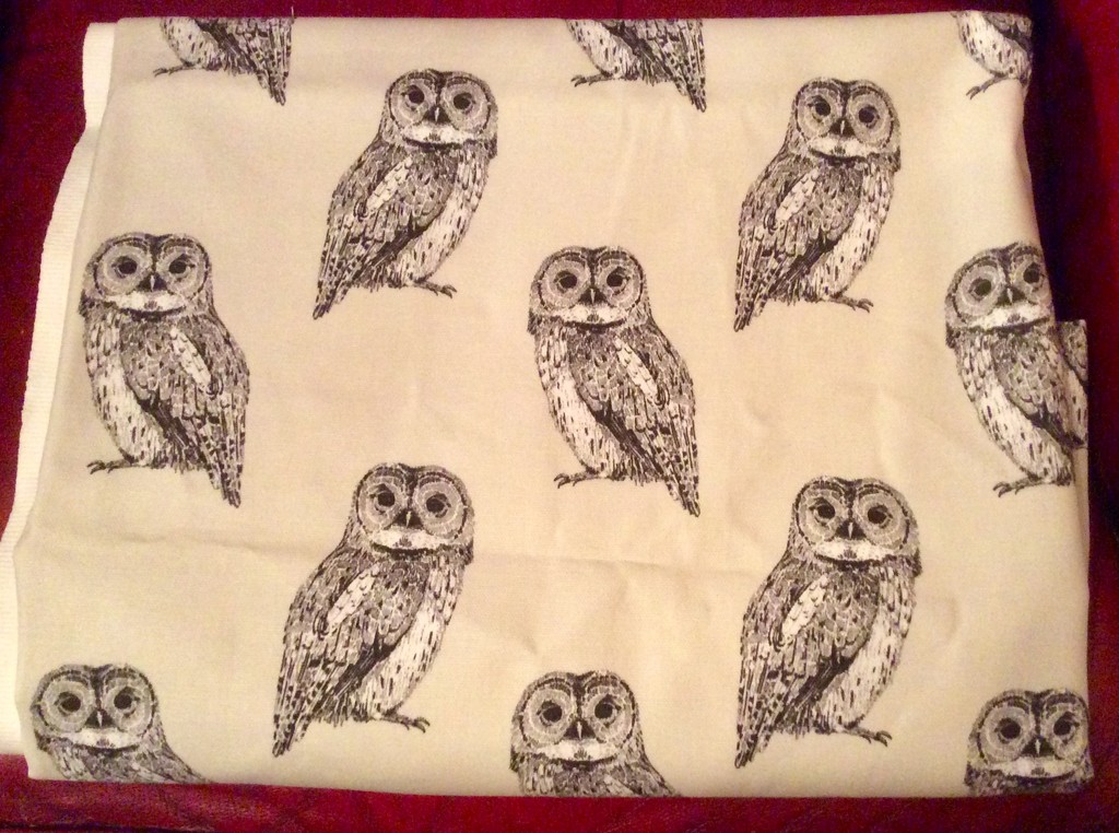 Owl Fabric by gillian1912