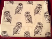 28th Nov 2017 - Owl Fabric
