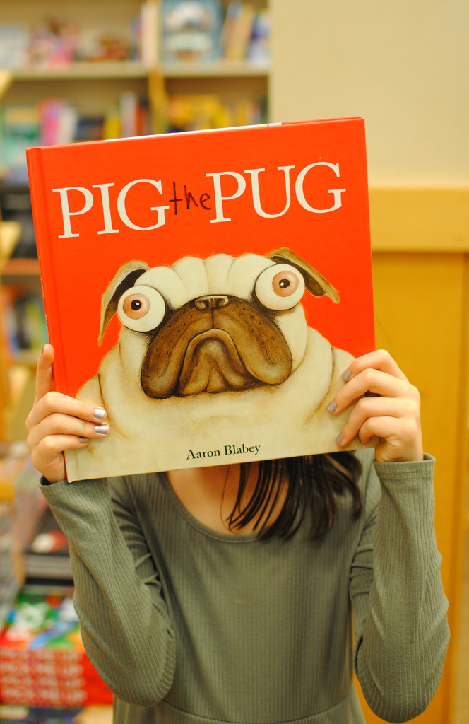 Pig the Pug by alophoto