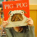 Pig the Pug by alophoto