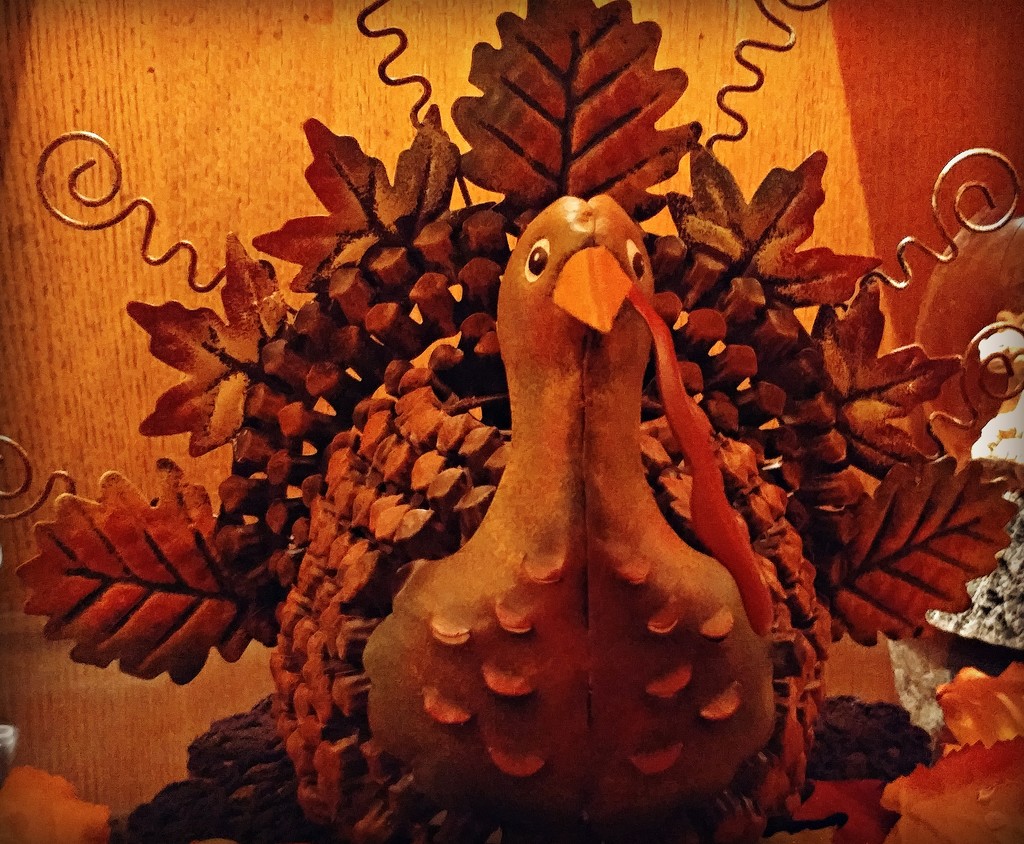Turkey Day  by jo38