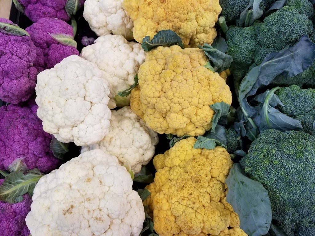 Colorful Cauliflower by scoobylou