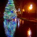 Christmas tree by 365projectdrewpdavies
