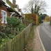 a Suffolk country lane by quietpurplehaze