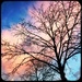 Cloud tree by mastermek