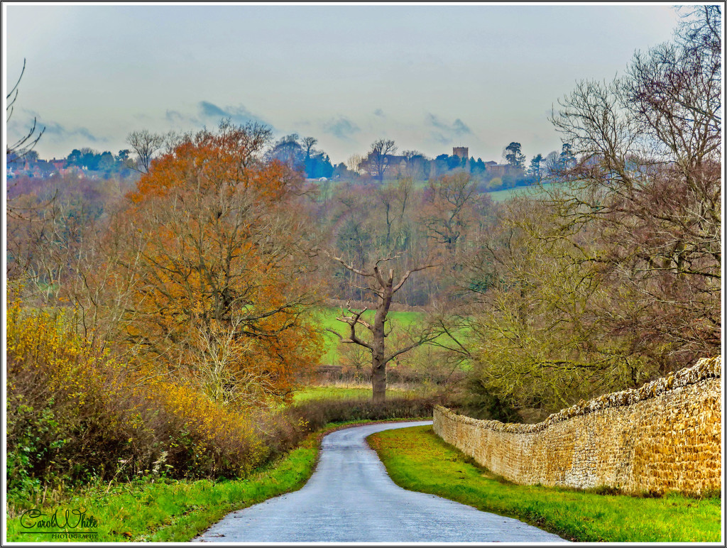 The Road From Althorpe To Great Brington by carolmw