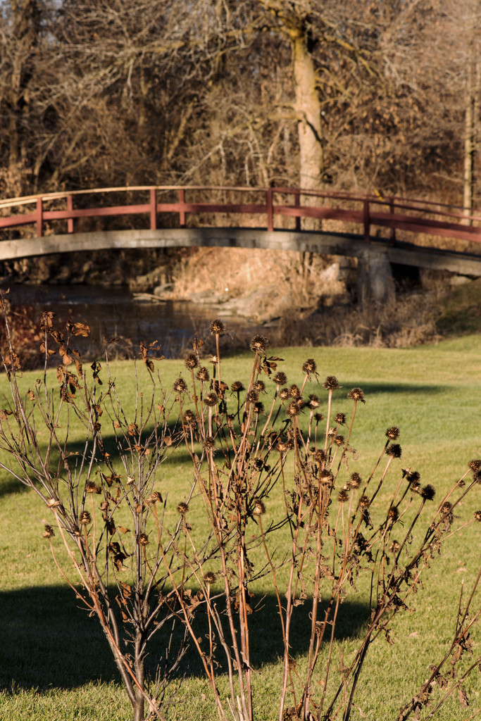 Foreground Landscape  by farmreporter