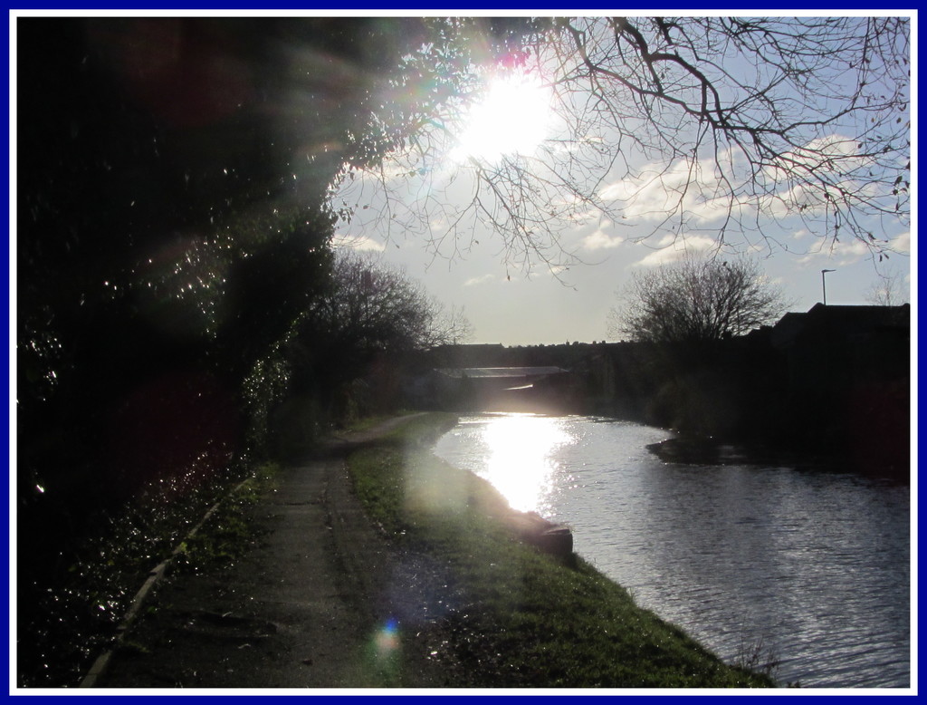 Sun on the canal tow path.Rishton. by grace55