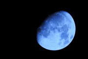 30th Nov 2017 - Blue Moon