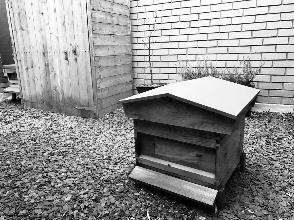 bee hive  by emma1231