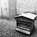 bee hive  by emma1231
