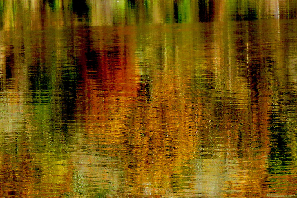 Abstract Reflections by milaniet
