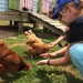 Chickens! by alia_801