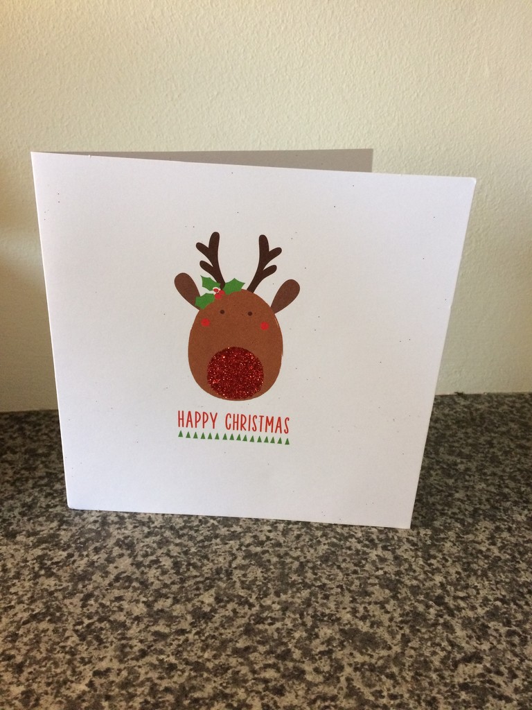 First Card Snuck in Before December  by elainepenney