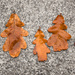 FALL(en) leaves or XMAS trees?  by cherrymartina