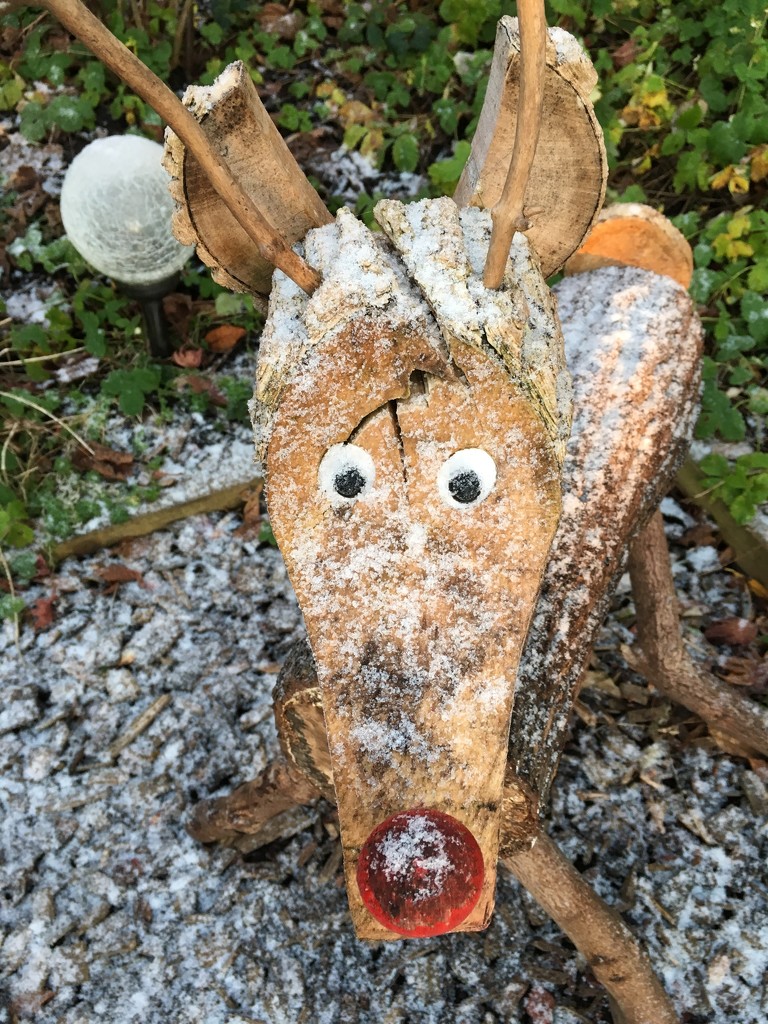 Rudolph by 365projectmaxine