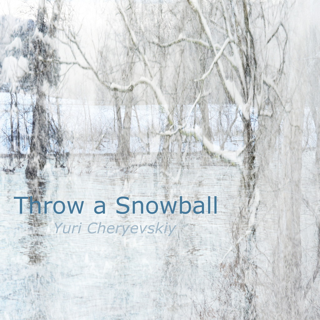 Throw a Snowball by francoise