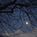 Moonlight by redandwhite