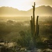 Sun across the Desert by jae_at_wits_end