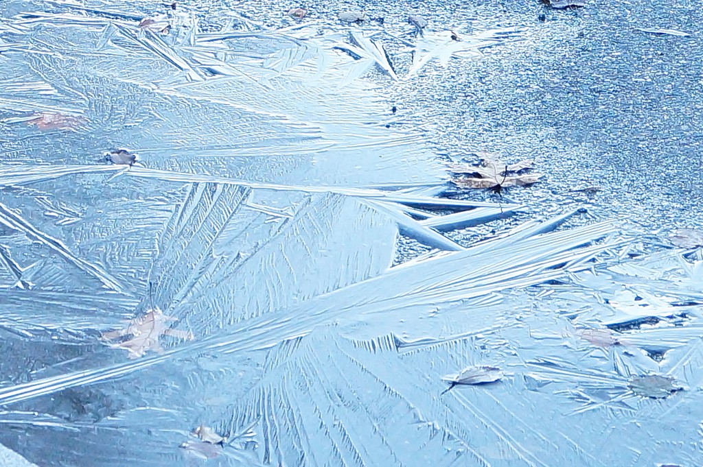 Ice on the Puddle. by meotzi