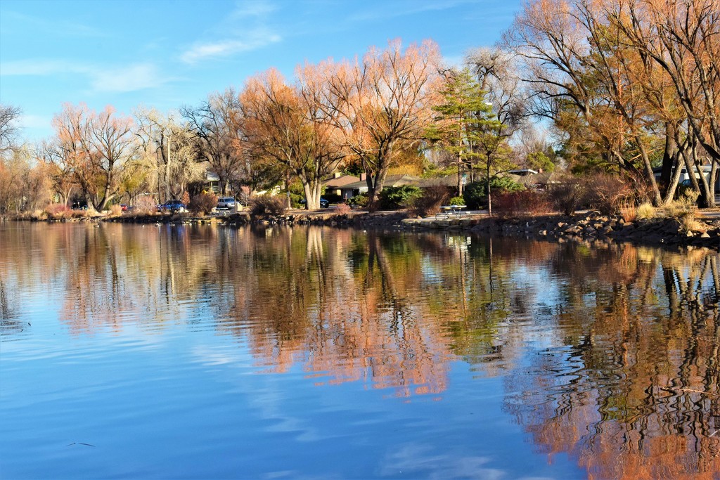 Sheldon Lake at City Park by sandlily