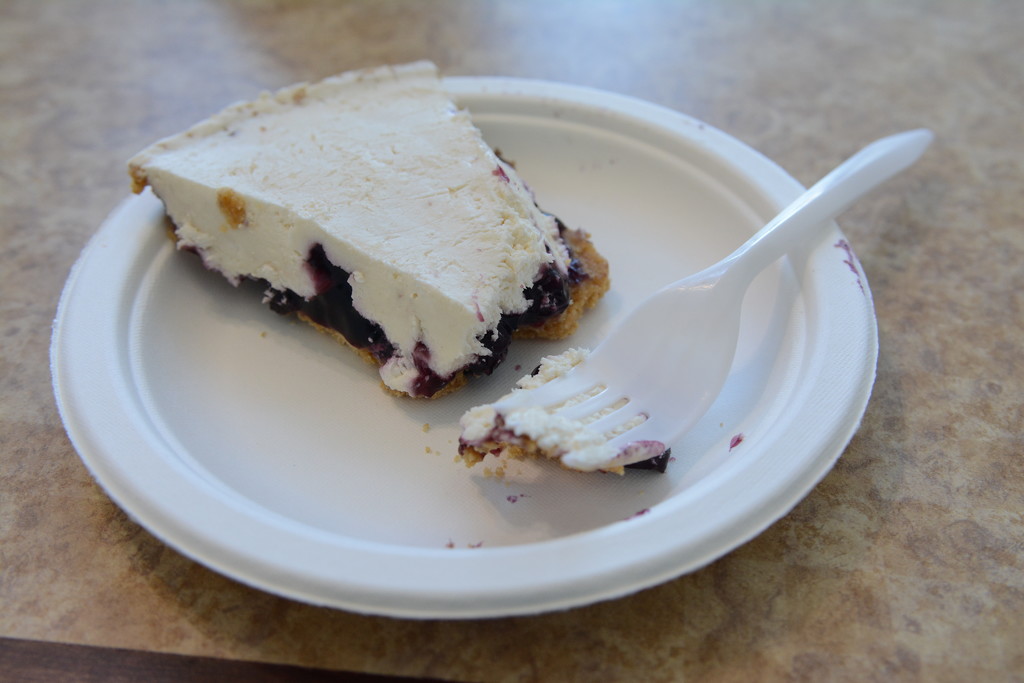 Blueberry Cheesecake by sfeldphotos