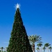 Christmas tree by joemuli