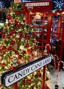 3rd Dec 2017 - Candy Cane Lane