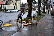 2nd Dec 2017 - Chopping Wood... in Fremont?