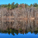 Saginaw Woods Pond by houser934