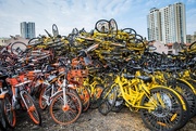 13th Nov 2017 - Too Many Rental Bicycles