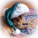 Sugar Plum Santa Cat by berelaxed