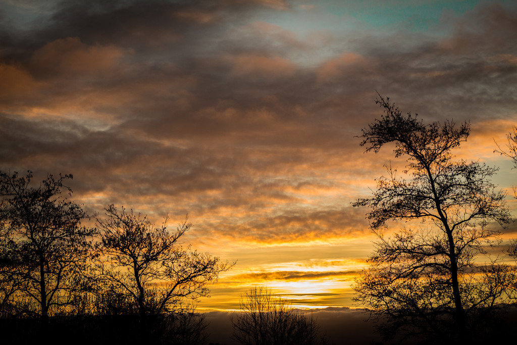 Sunset over Heligan by swillinbillyflynn